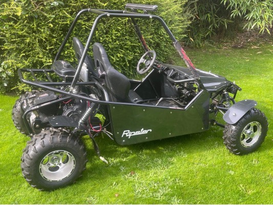 Ripster 200cc USED For sale (GS)