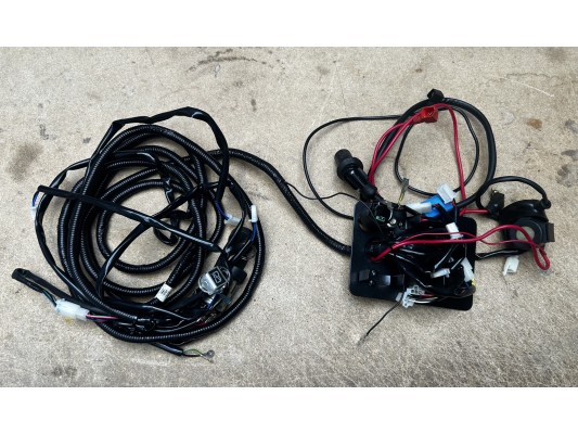 Ripster 200cc Wiring Loom