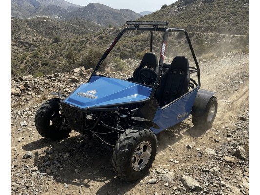 Ripster 200cc (USA spec) 13.5hp (kids/adults)