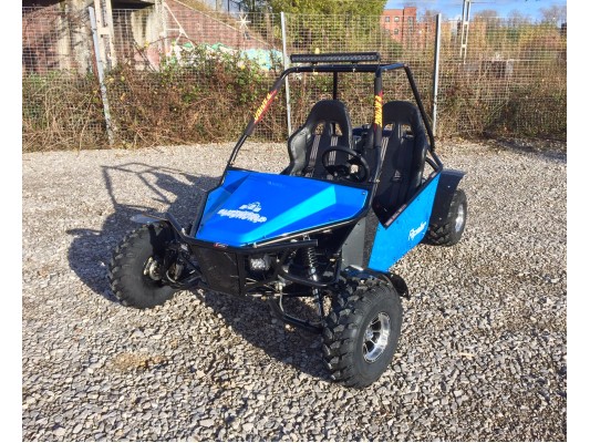 Ripster 200cc Buggy 10" Alloys (USA spec) 13.5hp (kids/adults)