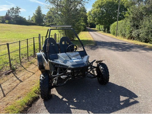 Ripster 200cc USED For sale (JW)