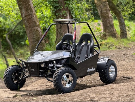 Ripster 200cc (USA spec) 13.5hp (kids/adults)