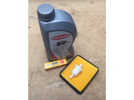 Ripster 200cc Service Kit