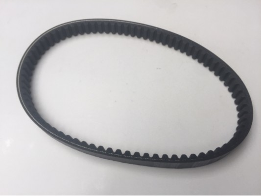 Ripster 200cc Drive Belt