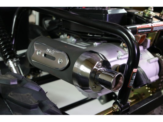 Ripster 200cc (USA spec) 13.5hp (kids/adults)
