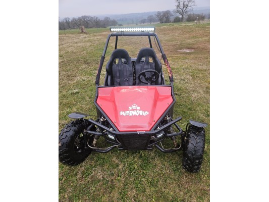 Ripster 200cc USED For sale (GS)