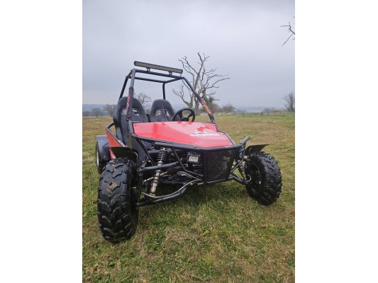 Ripster 200cc USED For sale (GS)