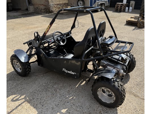 Ripster 200cc USED (BC)   FOR SALE