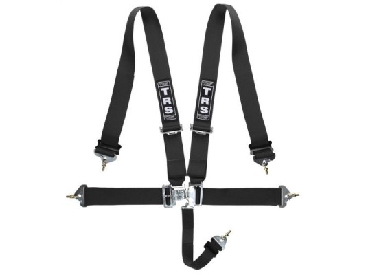 TRS Seatbelt 5 point seatbelt