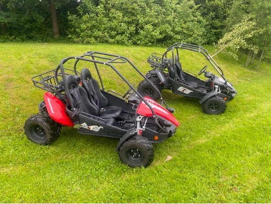 USED Polaris Hammerhead 150cc Buggies Blue & Red