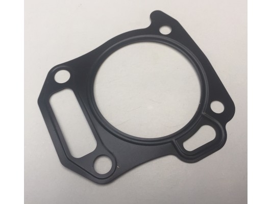 Wolf XL Cylinder Head Gasket