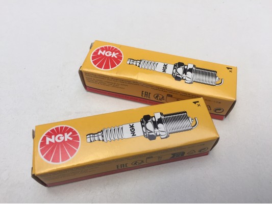 Renegade Rascal NGK Spark Plug