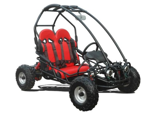 quadzilla go kart