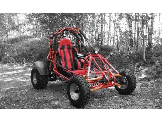 Spider 150cc Single seat Buggy