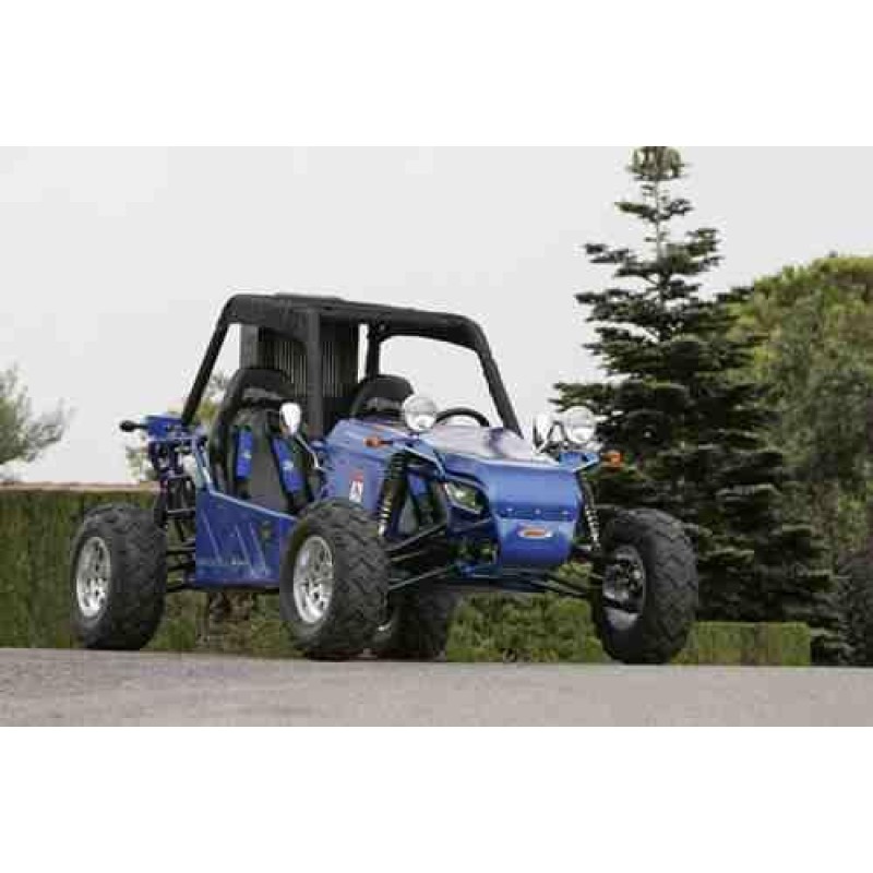 buggy joyner 650