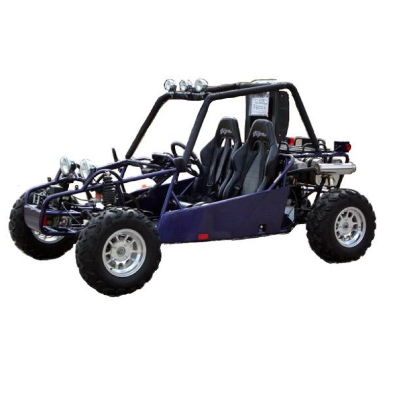 joyner off road buggy