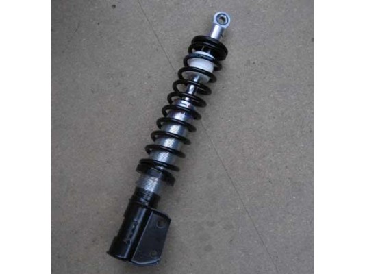 Front Suspension Strut Service