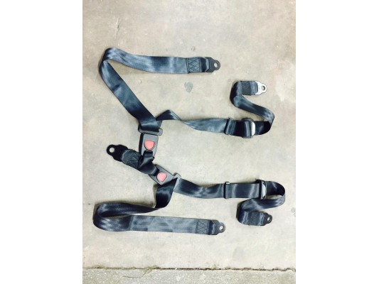 Quadzilla MID Bug Seatbelt standard