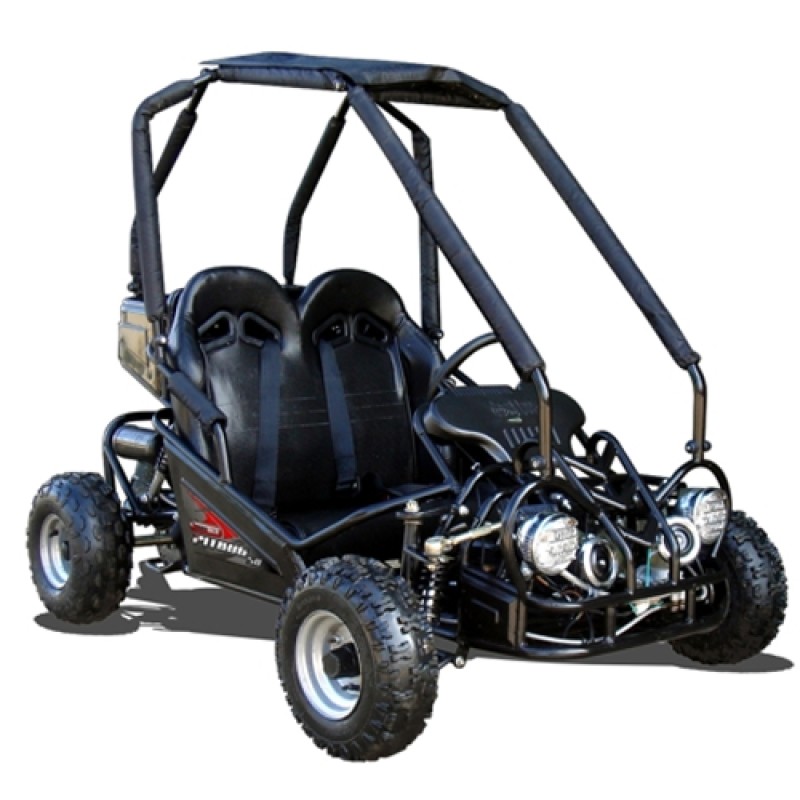Quadzilla Pitbug 50cc, kids off road buggy