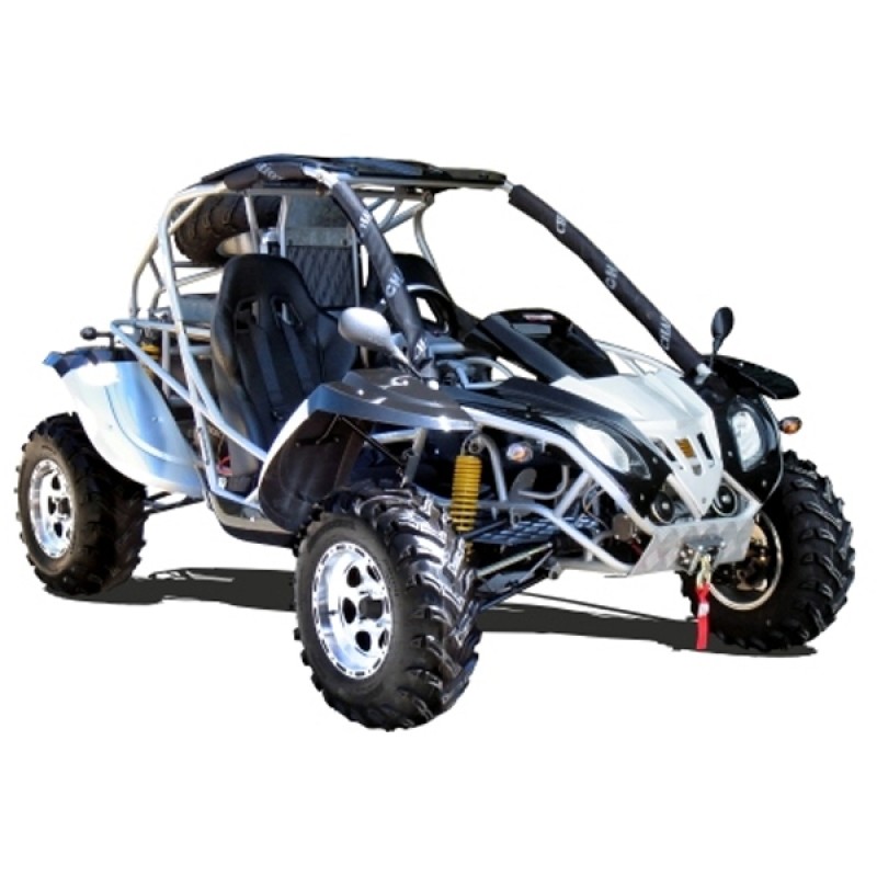 rl500 buggy