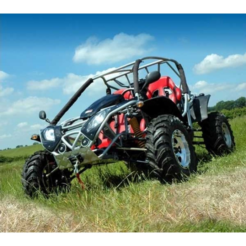 rl500 buggy