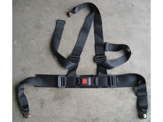 Ripster 200cc 4 Strap seatbelt