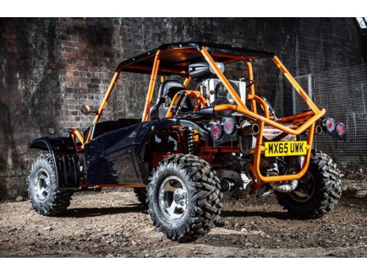 ANIMAL Type-R Road Legal Buggy