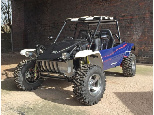 ANIMAL Type-R Road Legal Buggy