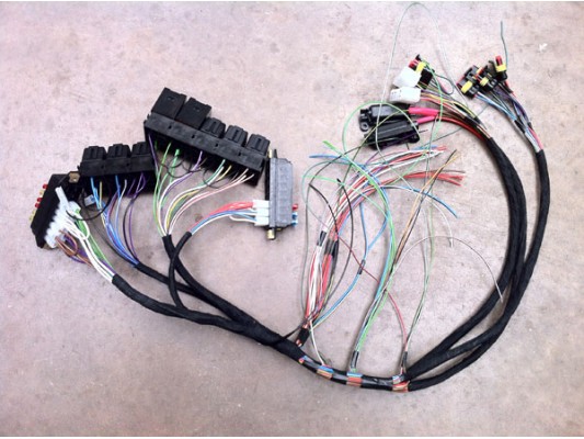 Wiring Loom with Omex ECU