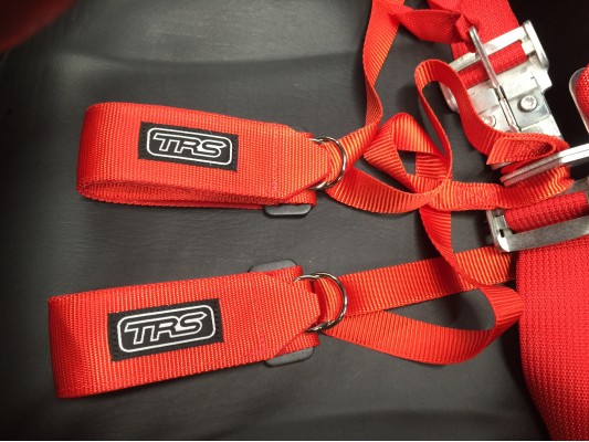 TRS Arm Restraints / Wrist Strap