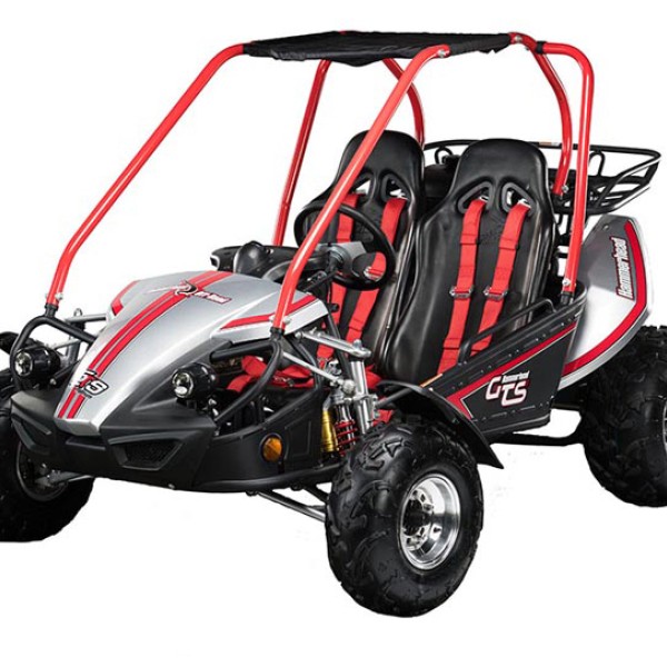 Hammerhead Platinum GTS 150cc (8hp)