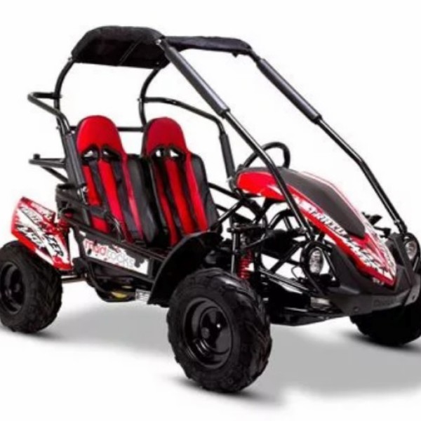 Quadzilla Wolf XL 200cc Go-Kart