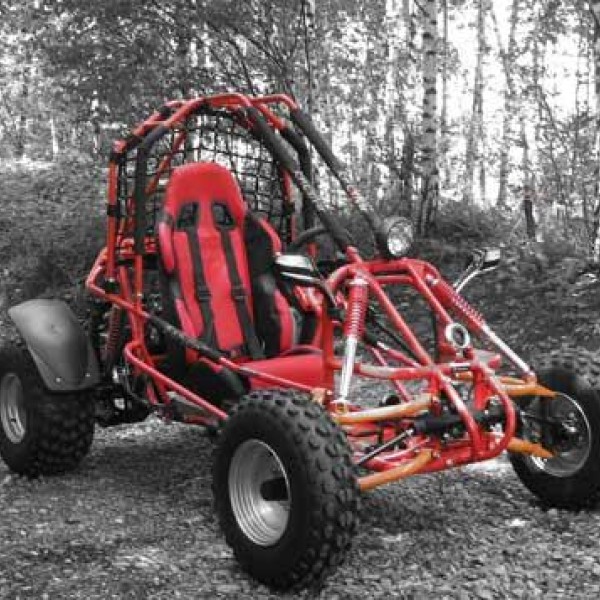 Spider Buggy 150cc (8hp)