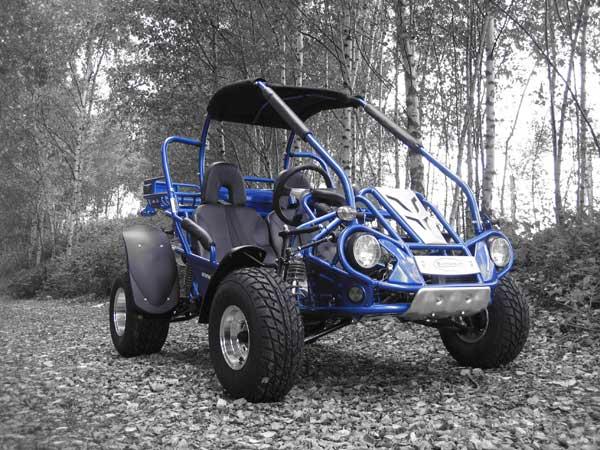 hammerhead buggy 250cc