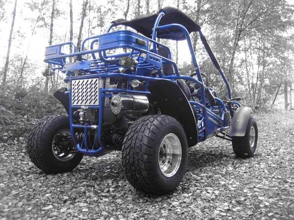 hammerhead buggy 250cc